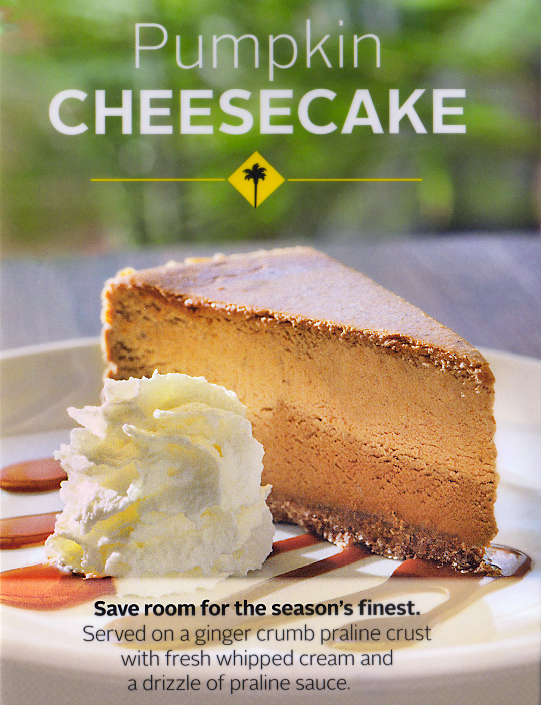 chessecakescancpk