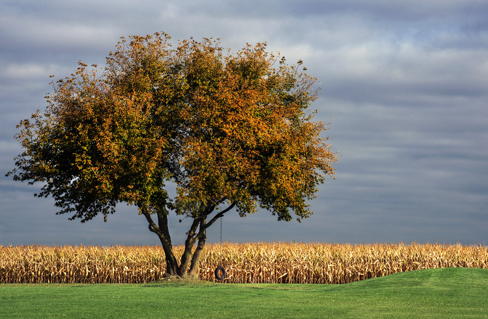 goldsmith_farm_61120044web